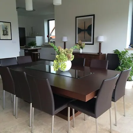 Luxury Near Prague With Pool And Tennis Court וילה צ'סטליצה